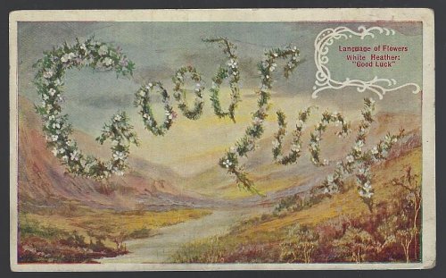 LANGUAGE OF FLOWERS, WHITE HEATHER, GOOD LUCK