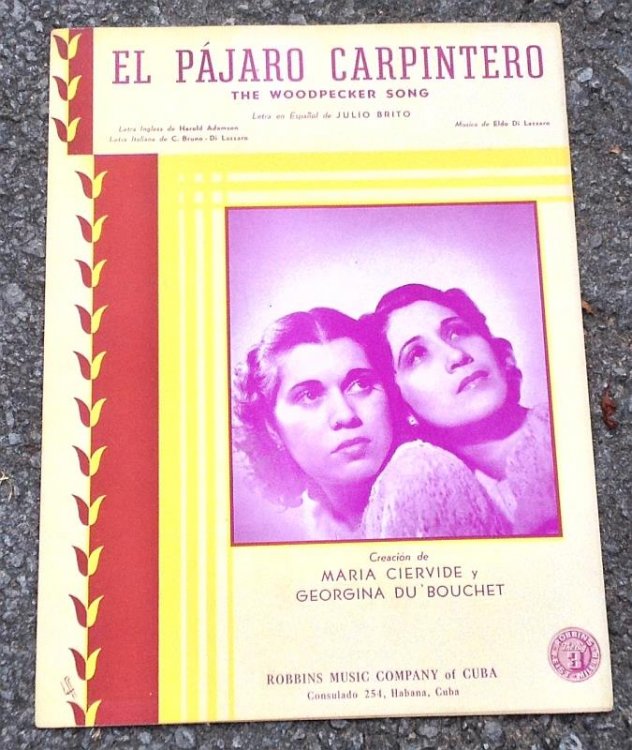 EL PAJARO CARPINTERO The Woodpecker Song