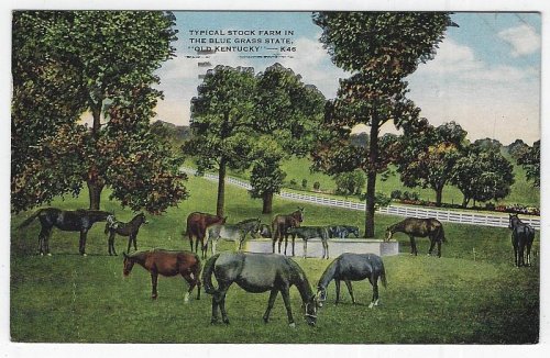 TYPICAL STOCK FARM IN THE BLUE GRASS STATE OLD KENTUCKY