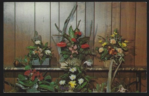 OBERER'S FLOWERS, DAYTON, OHIO