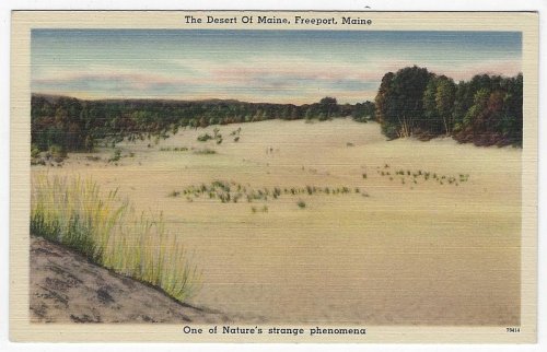 DESERT OF MAINE, FREEPORT, MAINE