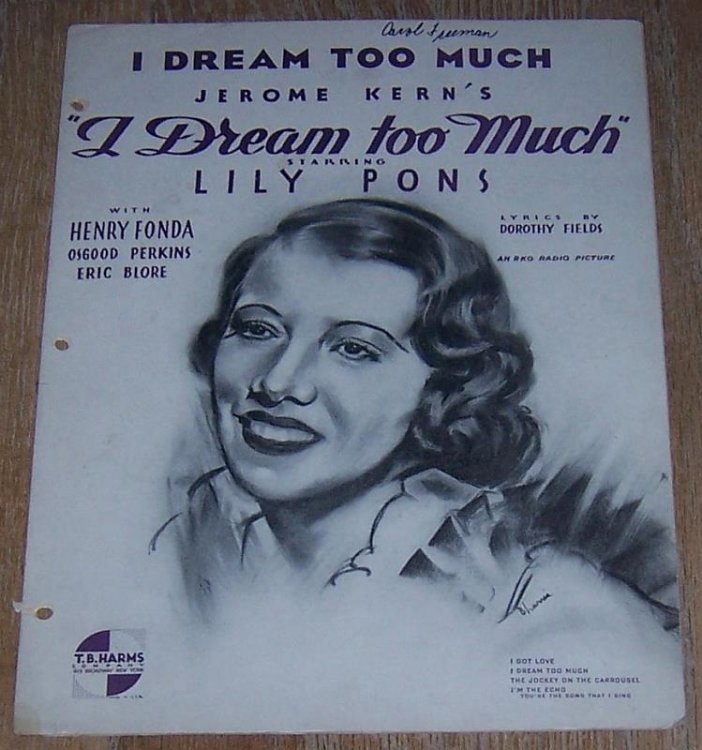 I DREAM TOO MUCH