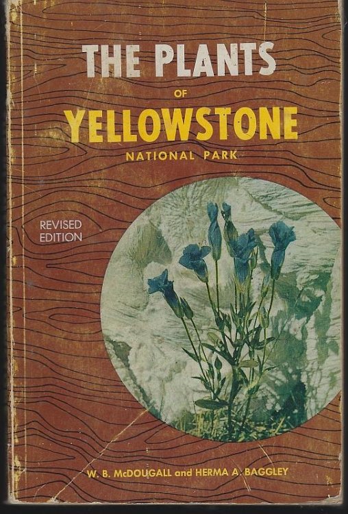 PLANTS OF YELLOWSTONE NATIONAL PARK