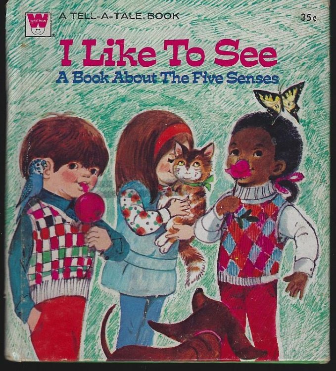 I LIKE TO SEE A Book about the Five Senses