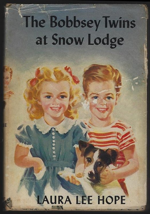 BOBBSEY TWINS AND THE MYSTERY AT SNOW LODGE