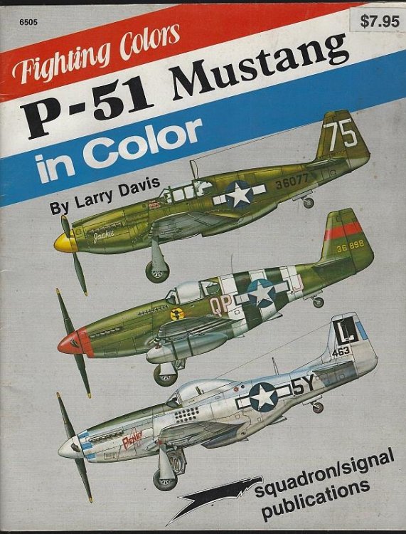 P-51 MUSTANG IN COLOR