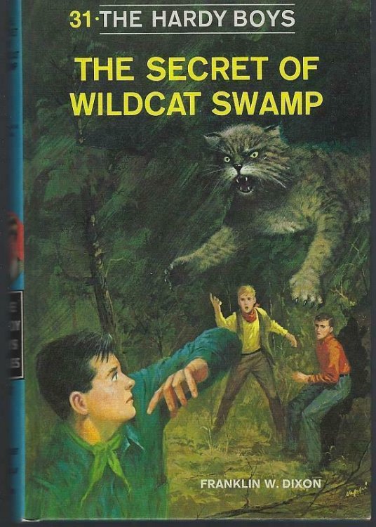 SECRET OF WILDCAT SWAMP