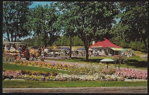 FRINGE TOPPED SIGHTSEEING SURREY, MACKINAC ISLAND, MICHIGAN