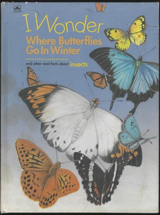 I WONDER WHERE BUTTERFLIES GO IN WINTER: AND OTHER NEAT FACTS ABOUT INSECTS