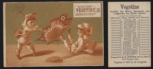 VICTORIAN TRADE CARD FOR VEGETINE WITH BOYS CATCHING LARGE BUTTERFLY