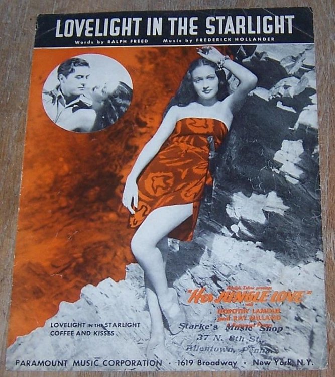 LOVELIGHT IN THE STARLIGHT