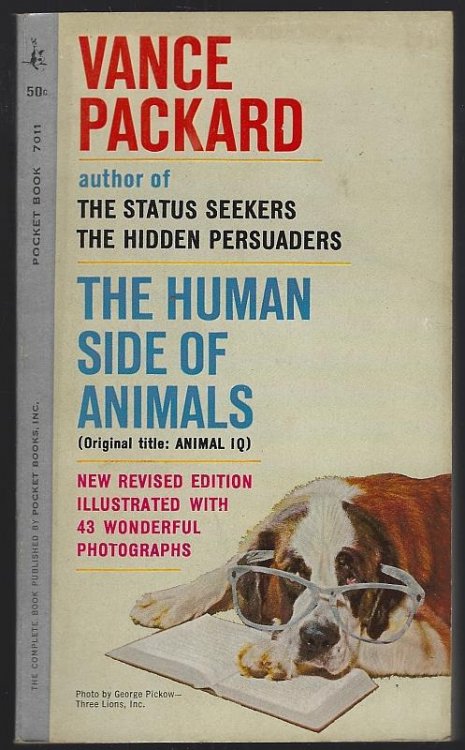 HUMAN SIDE OF ANIMALS