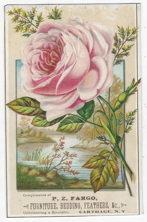 VICTORIAN TRADE CARD FOR P. Z. FARGO, FURNITURE, CARTHAGE, NEW YORK WITH PINK ROSE