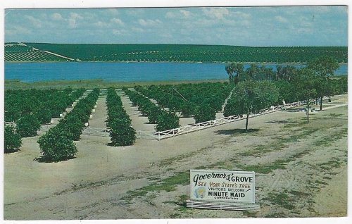 GOVERNORS' GROVE, CLERMONT, FLORIDA