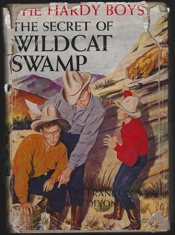 SECRET OF WILDCAT SWAMP
