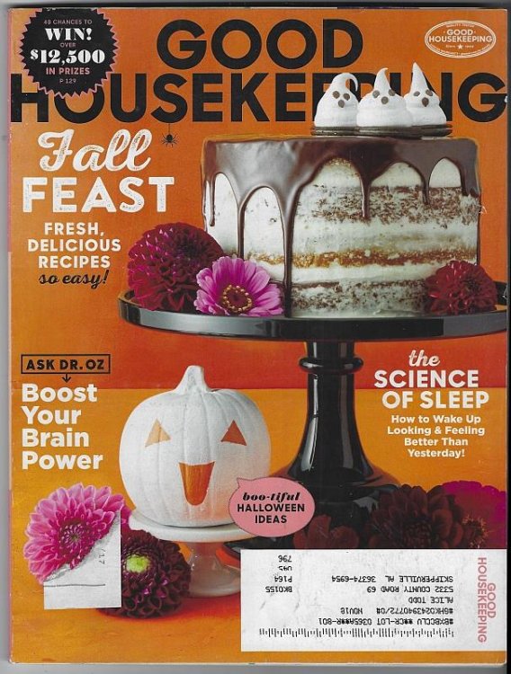 GOOD HOUSEKEEPING MAGAZINE OCTOBER 2017
