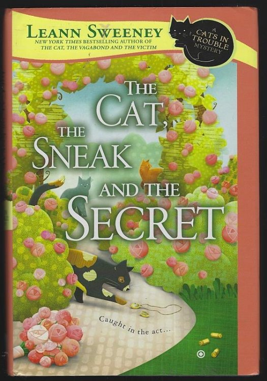 CAT, THE SNEAK AND THE SECRET