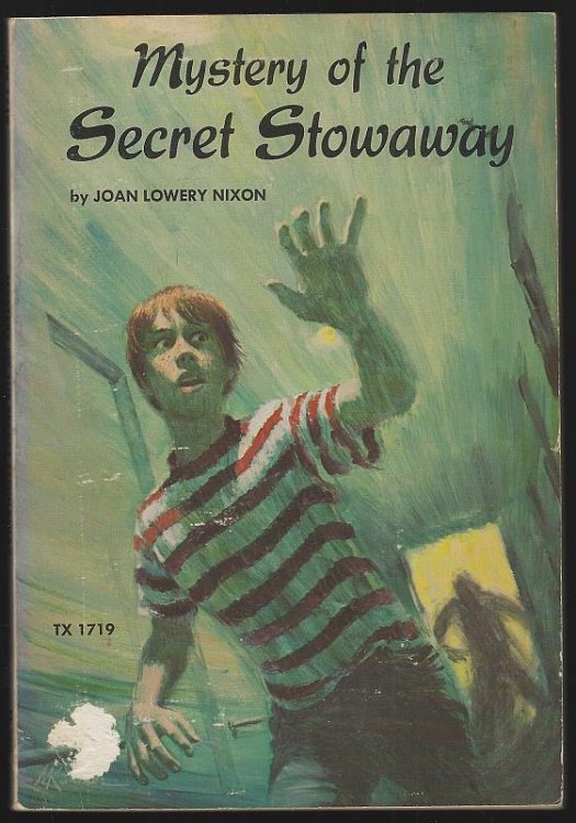 MYSTERY OF THE SECRET STOWAWAY