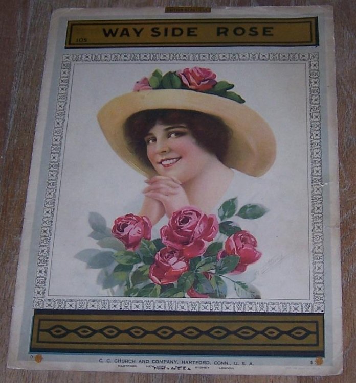 WAYSIDE ROSE