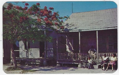 STREET SCENE WITH POINCIANA IN BLOOM, KEY WEST, FLORIDA