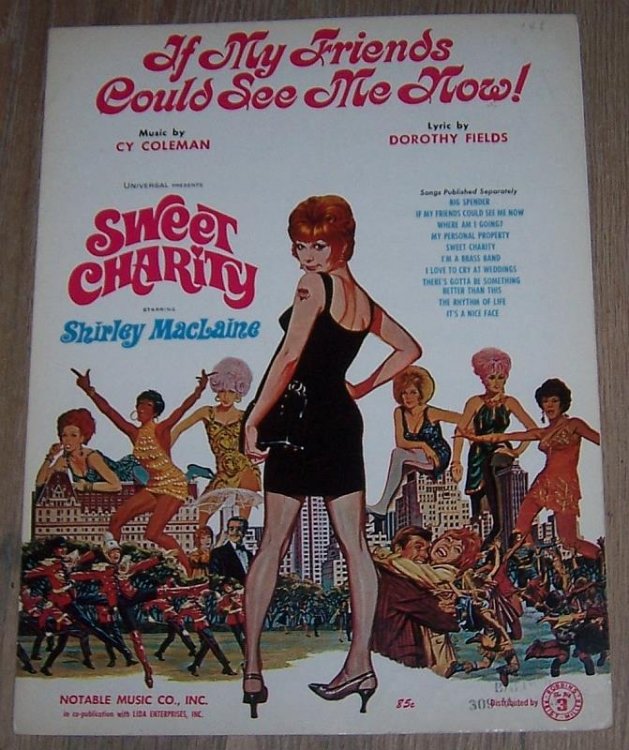 IF MY FRIENDS COULD SEE ME NOW