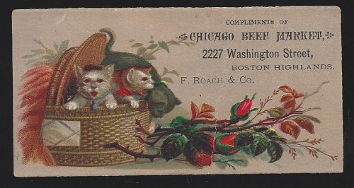 VICTORIAN TRADE CARD FOR CHICAGO BEEF MARKET, BOSTON HIGHLANDS, MASSACHUSETTS