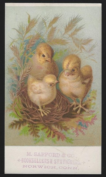 VICTORIAN TRADE CARD FOR M. SAFFORD AND COMPANY, BOOKSELLERS AND STATIONERS, NORWICH, CONNECTICUT WITH CHICKS