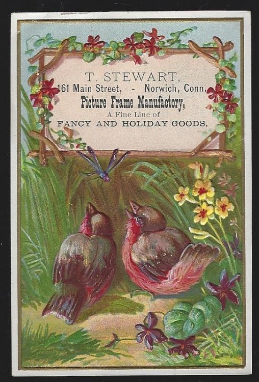 VICTORIAN TRADE CARD FOR T. STEWART PICTURE FRAME MANUFACTORY, NORWICH, CONNECTICUT WITH BIRDS AND FLOWERS