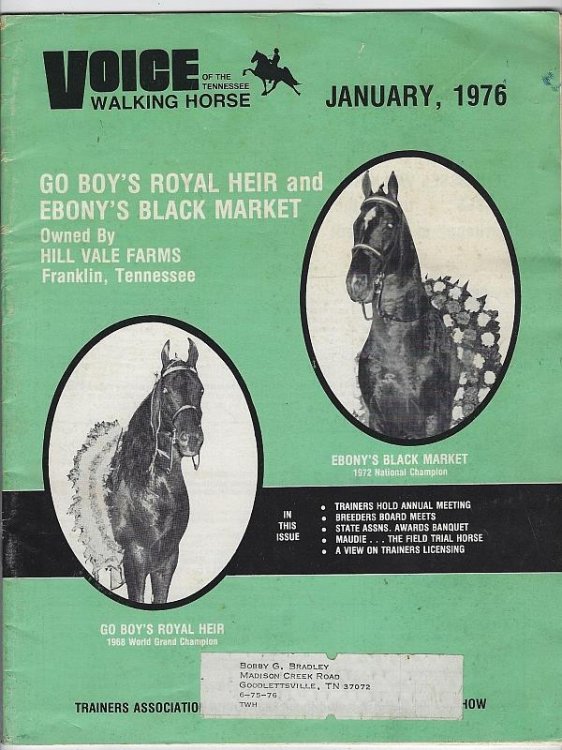 VOICE OF THE TENNESSEE WALKING HORSE MAGAZINE JANUARY 1976