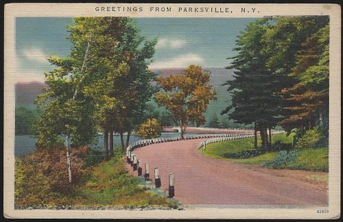 GREETINGS FROM PARKSVILLE, NEW YORK