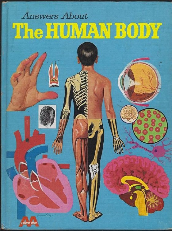 ANSWERS ABOUT THE HUMAN BODY
