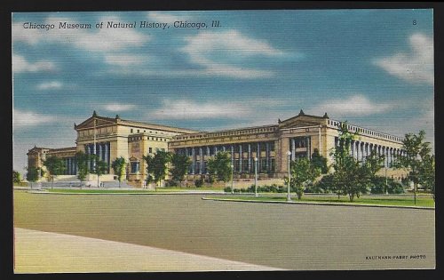 CHICAGO MUSEUM OF NATURAL HISTORY, CHICAGO, ILLINOIS