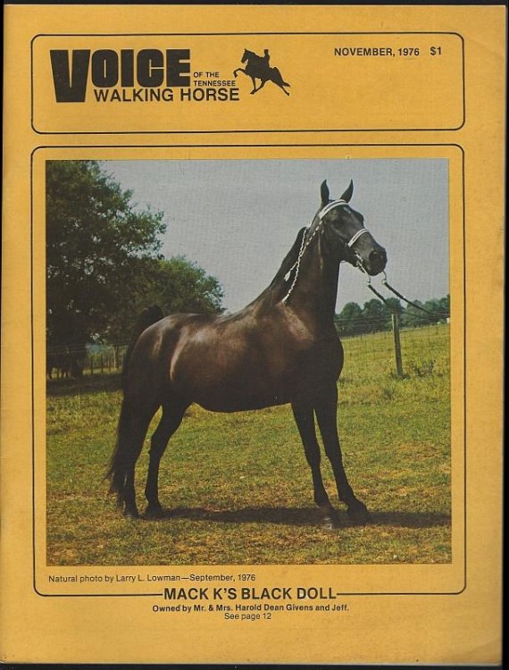 VOICE OF THE TENNESSEE WALKING HORSE MAGAZINE NOVEMBER 1976