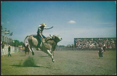 COWBOY BULL RIDING