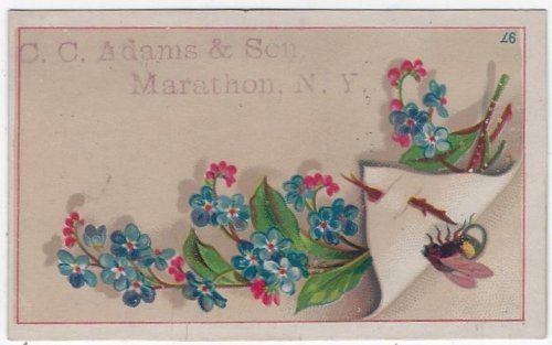 VICTORIAN TRADE CARD FOR C. C. ADAMS AND SON WITH FLOWERS