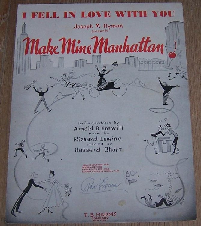 I FELL IN LOVE WITH YOU