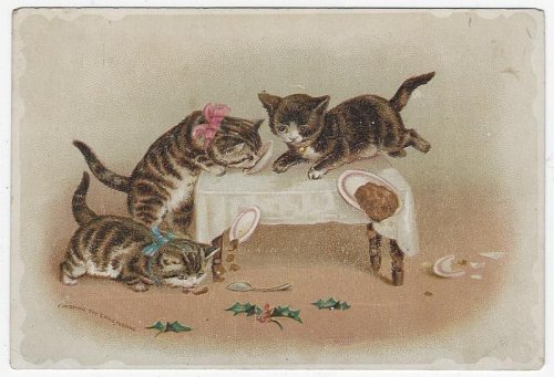 CHRISTMAS CARD, THREE KITTENS FINISHING THE XMAS PUDDING