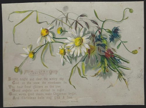 VICTORIAN CHRISTMAS CARD WITH SHIRLEY WYNNE POEM AND DAISIES