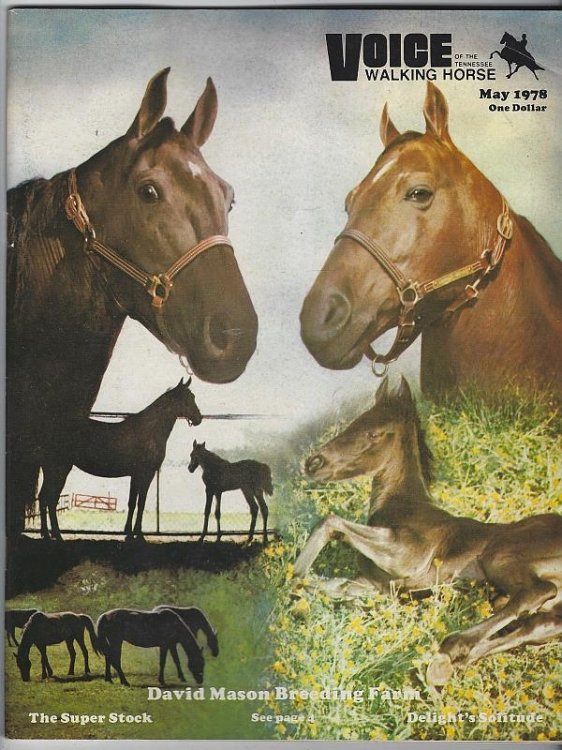 VOICE OF THE TENNESSEE WALKING HORSE MAGAZINE MAY 1978