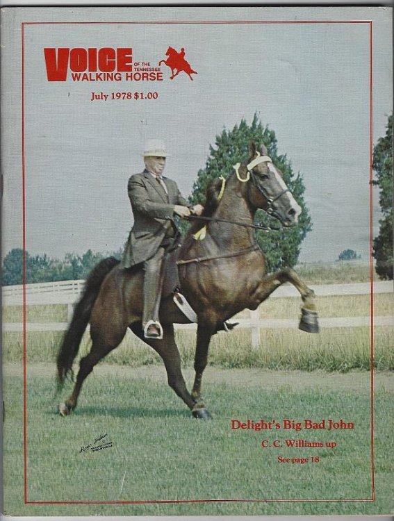 VOICE OF THE TENNESSEE WALKING HORSE MAGAZINE JUNE 1978
