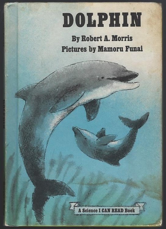 DOLPHIN