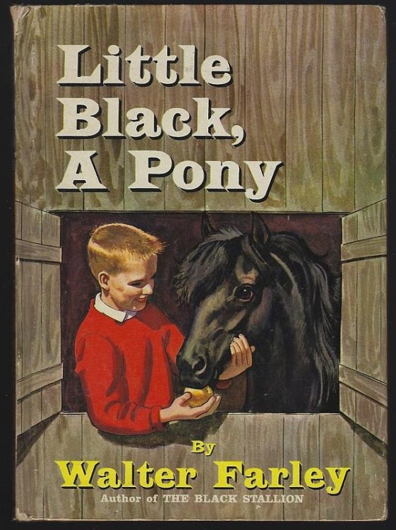 LITTLE BLACK, A PONY