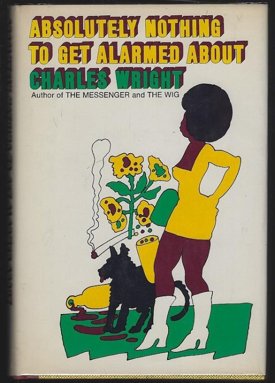 ABSOLUTELY NOTHING TO GET ALARMED ABOUT