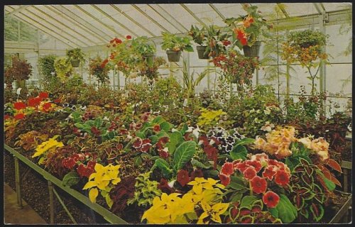 GREENHOUSE, KINGWOOD CENTER, MANSFIELD, OHIO