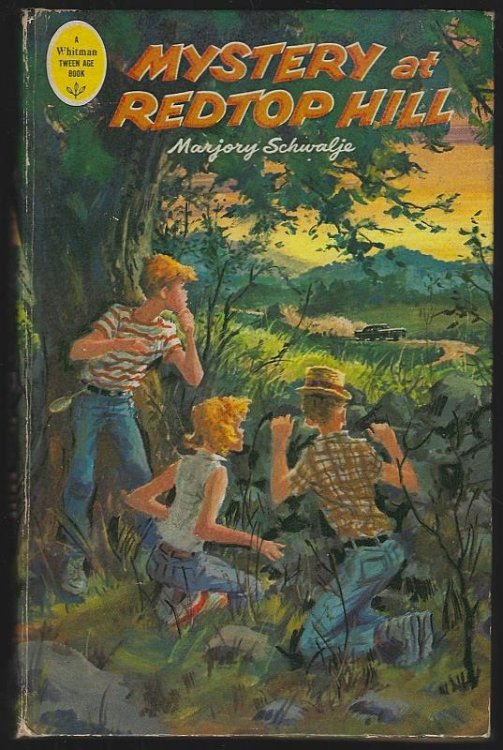 MYSTERY AT REDTOP HILL