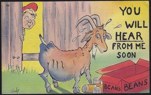 COMIC ANDY POSTCARD OF GOAT EATING BEANS, YOU WILL HEAR FROM ME SOON