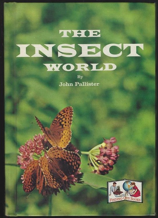 INSECT WORLD
