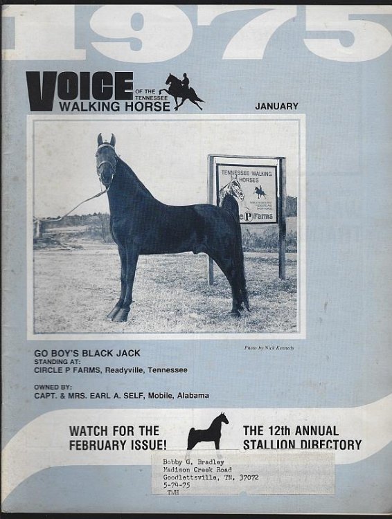 VOICE OF THE TENNESSEE WALKING HORSE MAGAZINE JANUARY 1975 12th Annual Stallion Directory