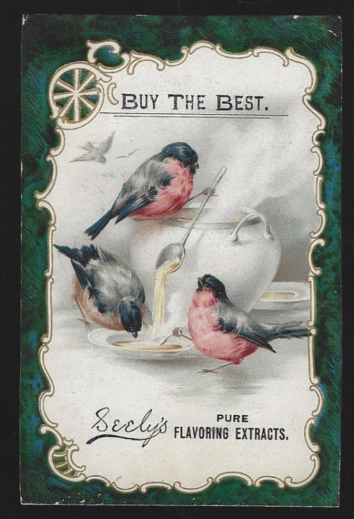 VICTORIAN TRADE CARD FOR SEELY'S PURE FLAVORING EXTRACTS WITH BIRDS EATING SOUP