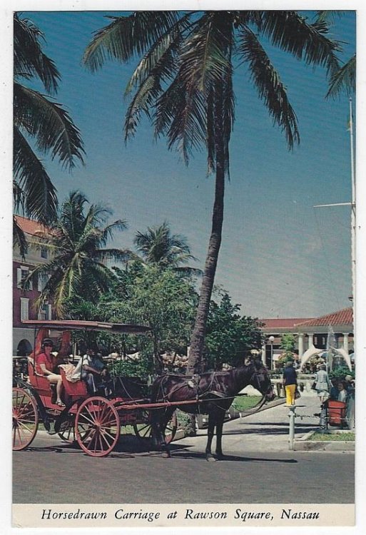 HORSEDRAWN CARRIAGE AT RAWSON SQUARE, NASSAU, BAHAMAS